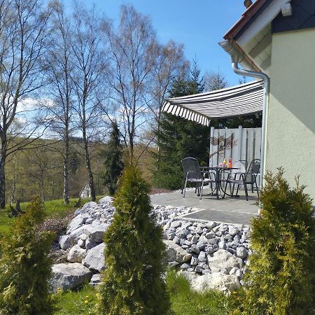 Behagliches Ferienhaus Zaunkoenig -Mit Kamin Und Sauna Tanne Εξωτερικό φωτογραφία