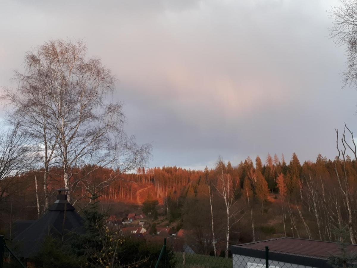 Behagliches Ferienhaus Zaunkoenig -Mit Kamin Und Sauna Tanne Εξωτερικό φωτογραφία