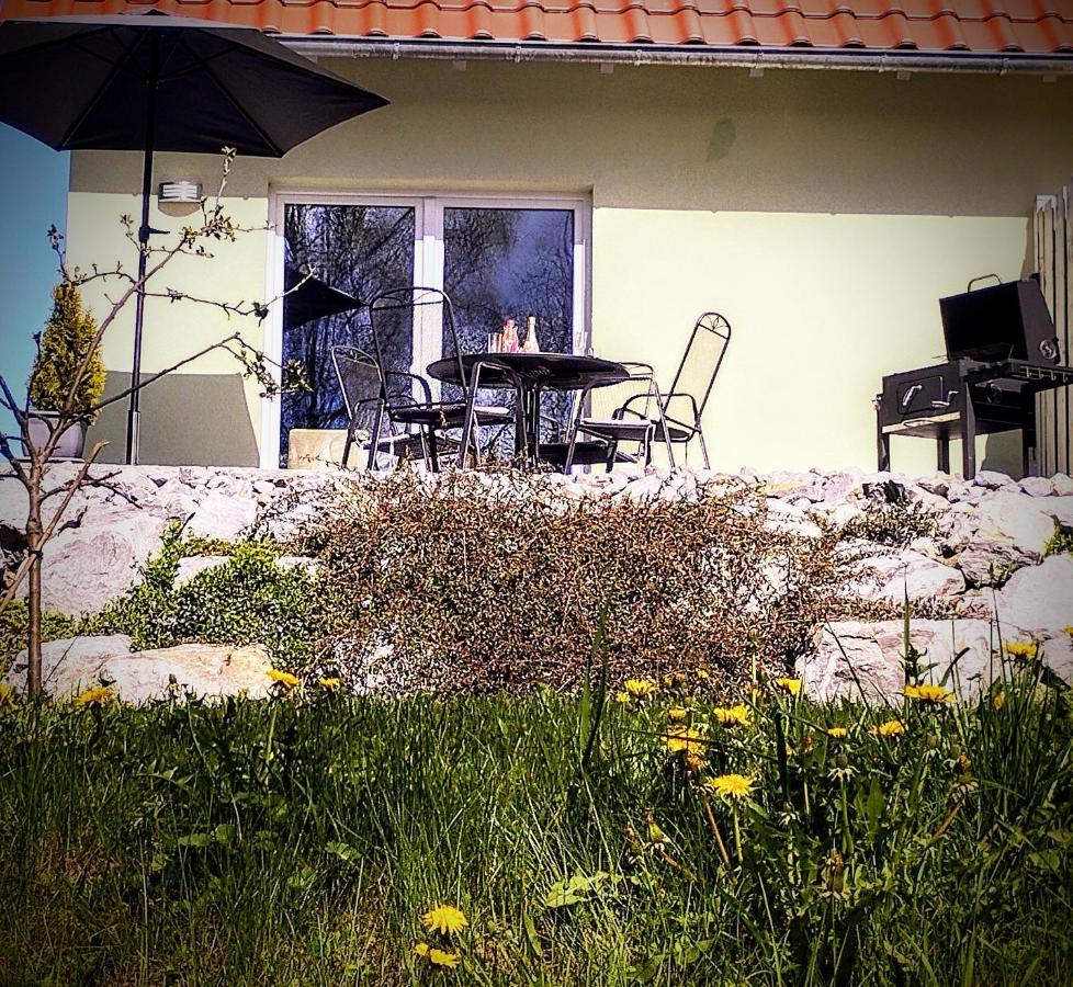 Behagliches Ferienhaus Zaunkoenig -Mit Kamin Und Sauna Tanne Εξωτερικό φωτογραφία