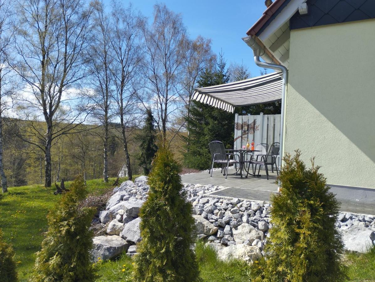 Behagliches Ferienhaus Zaunkoenig -Mit Kamin Und Sauna Tanne Εξωτερικό φωτογραφία